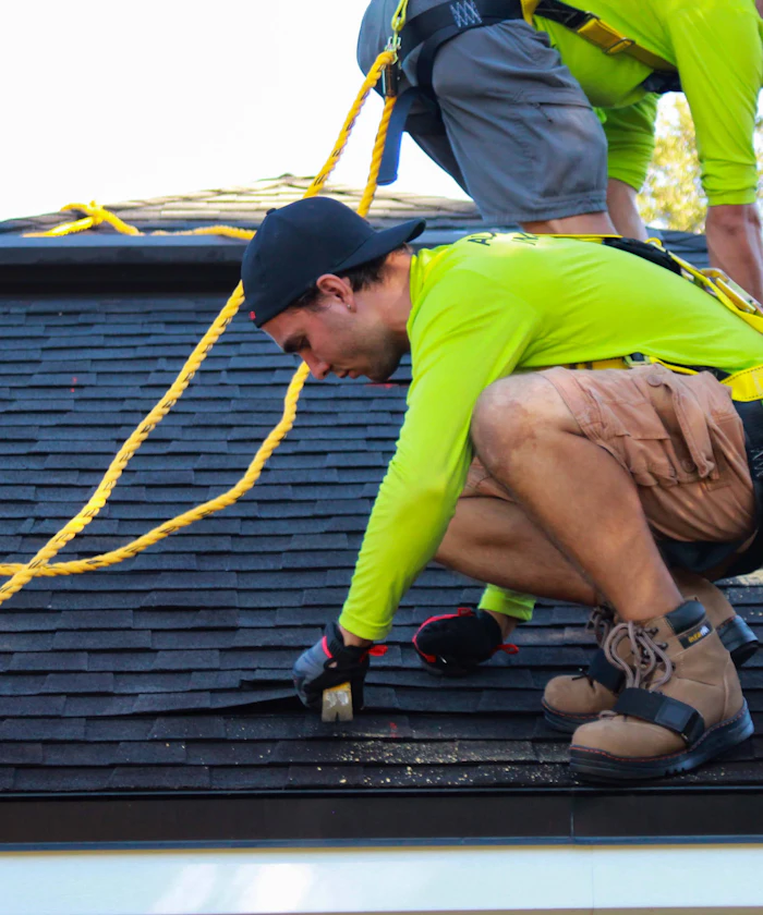 Roofers in safety harnesses working on a shingle roof